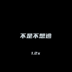 不是不想逃 (1.2x)