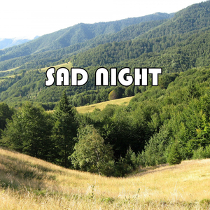 Sad Night