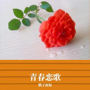 青春恋歌