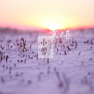 杨山-小雪 (DJ阿福 Remix)（DJ阿福 (DJ-Afu) remix）