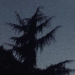 Various Artists-b7 2020（TOBBY宋老师 remix）