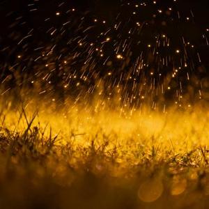 温水养花 (Cover 卓艺)