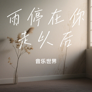 雨停在你走以后