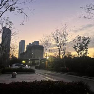 你离开的事实