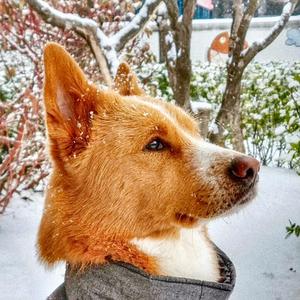 내 품에 살래요 (inst.)