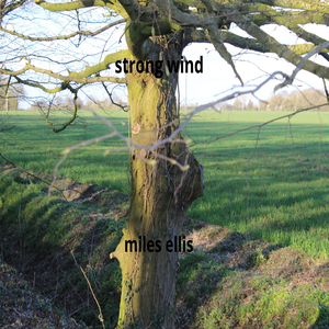 strong wind