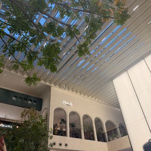 不说再见-专治不乖