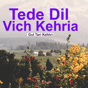 Tede Dil Vich Kehrian
