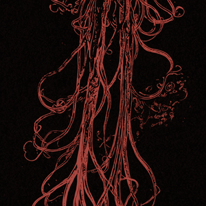 Dakapo (NET GALA Remix)