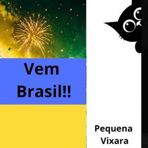 Vem Brasil!! (( remix))