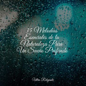 Revolotea en La Brisa