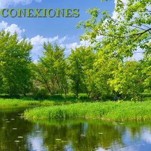 Conexiones