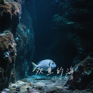 双鱼的海