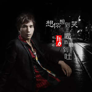 想你想到哭 喝酒喝到吐 (DJ默涵版)