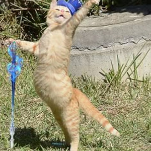 Rider's Ride (sped up)