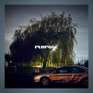 PURPOSE