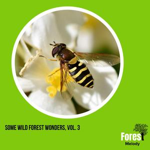 Plea of Tiny Crickets