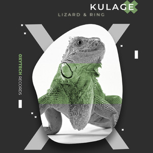 Lizard