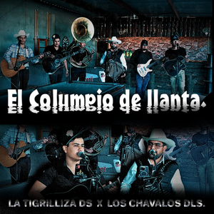 El Columpio de Llanta.