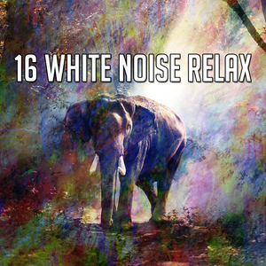 Meditation Optimisation