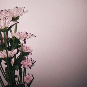 XXXTENTACION-echo（helloyungrish remix）