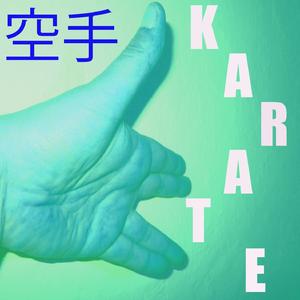 Karate-Musik Vol. 8 (Yawara)