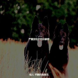 微妙的睡狗心情