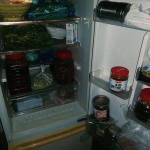 关于小兰，我所知道的一切