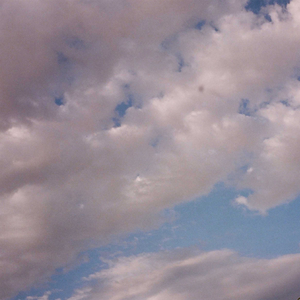 Mi Querido, Mi Viejo, Mi Amigo (Amazon Original)