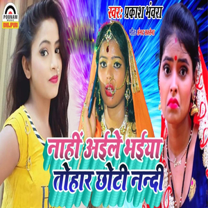 Nahi Aile Bhaiya Tohar Choti Nanadi