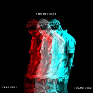 I No Dey Barb (feat. Kwame Yesu)