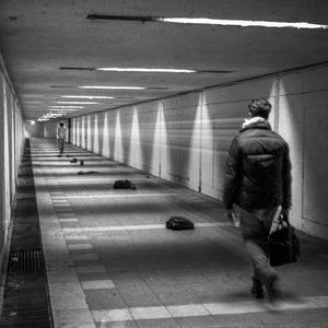 Enchanted Lights (Interlude)