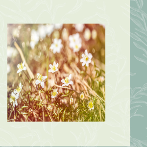 순간들이 모인 인생 (행복)