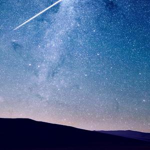 雨中的森林和鸟鸣