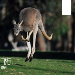 粉色梦境中童话成真