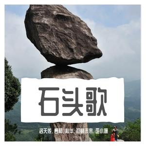 石头歌（洛天依、言和）（翻自 三无MarBlue）