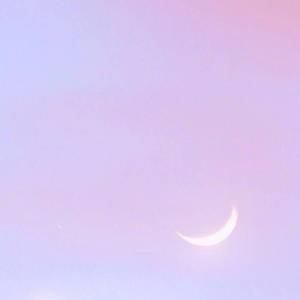 去年夏天