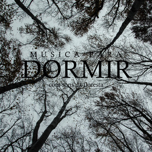 A Correnteza do Rio em Plena Floresta