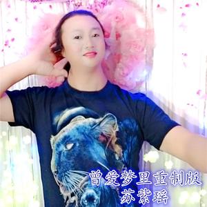 曾爱梦里重制版