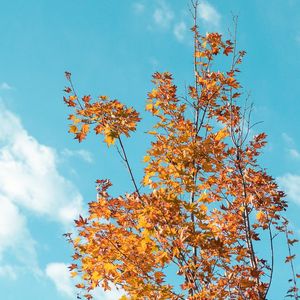 咖啡杯冷却的时差恋歌