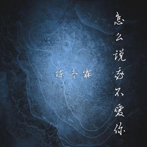 怎么说我不爱你