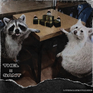 RACCOON REMIX