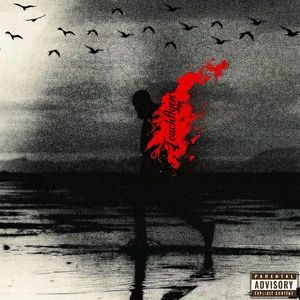 回忆碎片（prod Jeston）