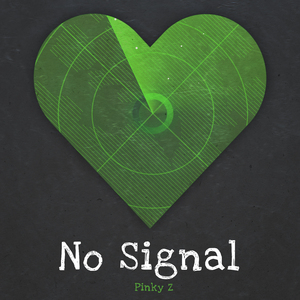 No Signal