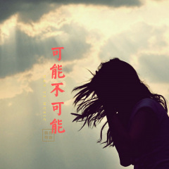 拉萨夜雨 (DJ版)