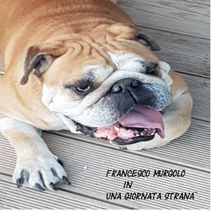 Una giornata strana 1