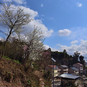 不用再说