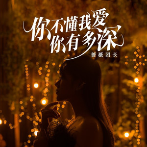 你不懂我爱你有多深 (DJ名龙版)