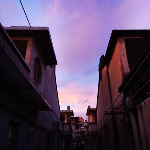 Pink dream of moonlight