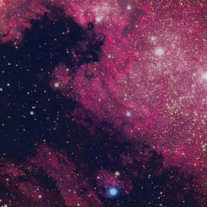 Out the Mud (feat. The 6ix, Dilyrium, Tommie Trichomes & Kartoon)